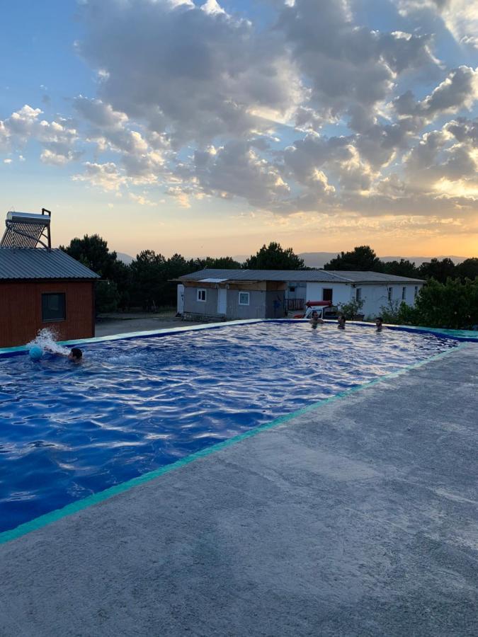 Zhayr Resort & Dive Drakhtik 外观 照片