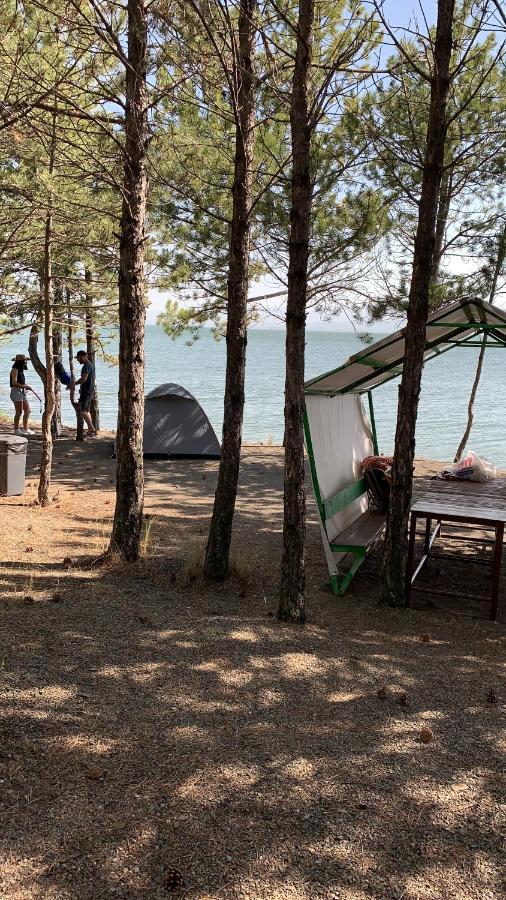 Zhayr Resort & Dive Drakhtik 外观 照片